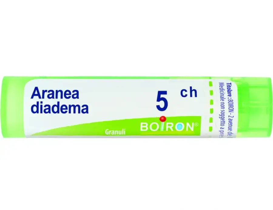 Aranea Diadema